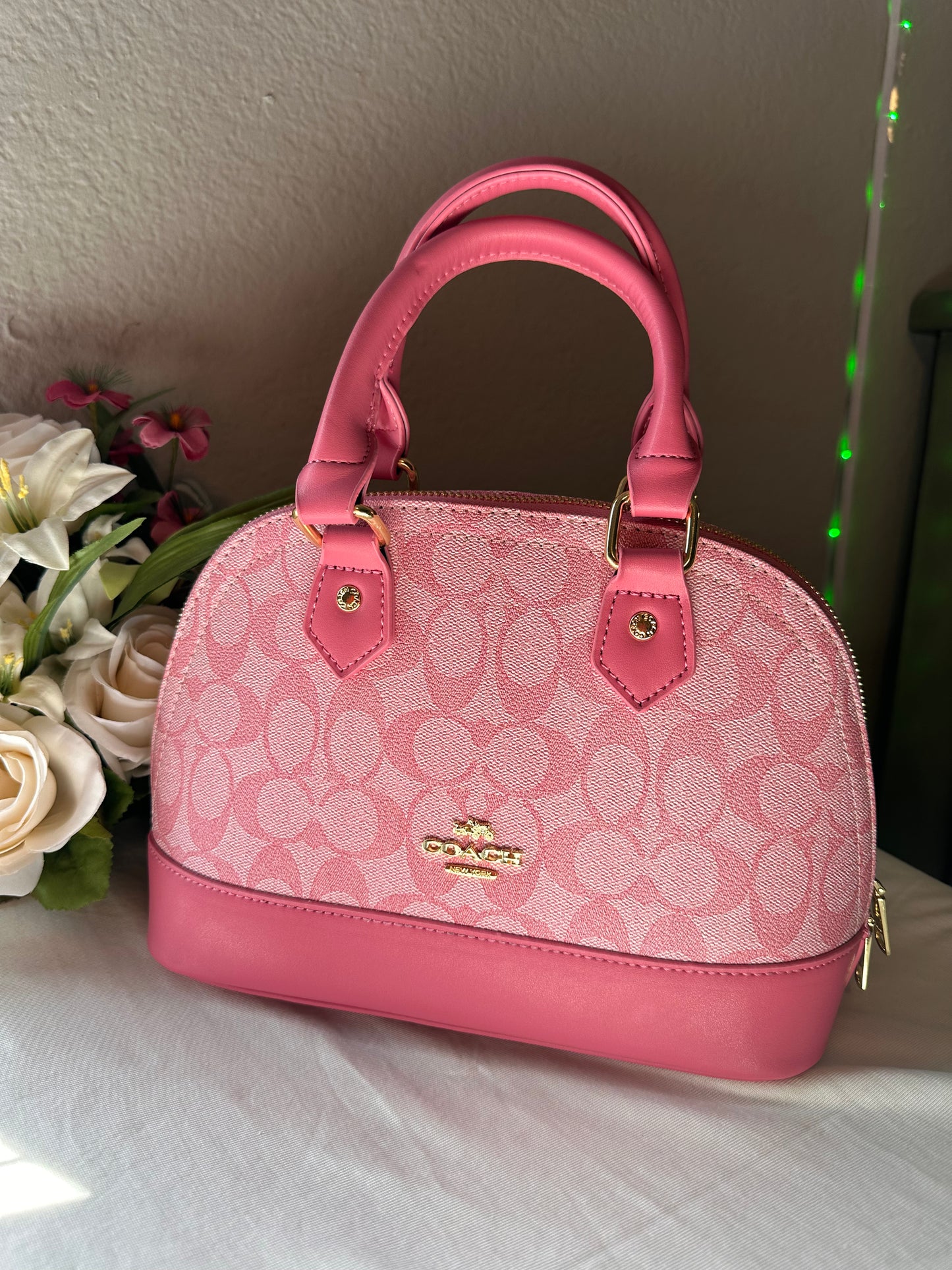 Mini Sierra Crossbody 🎀